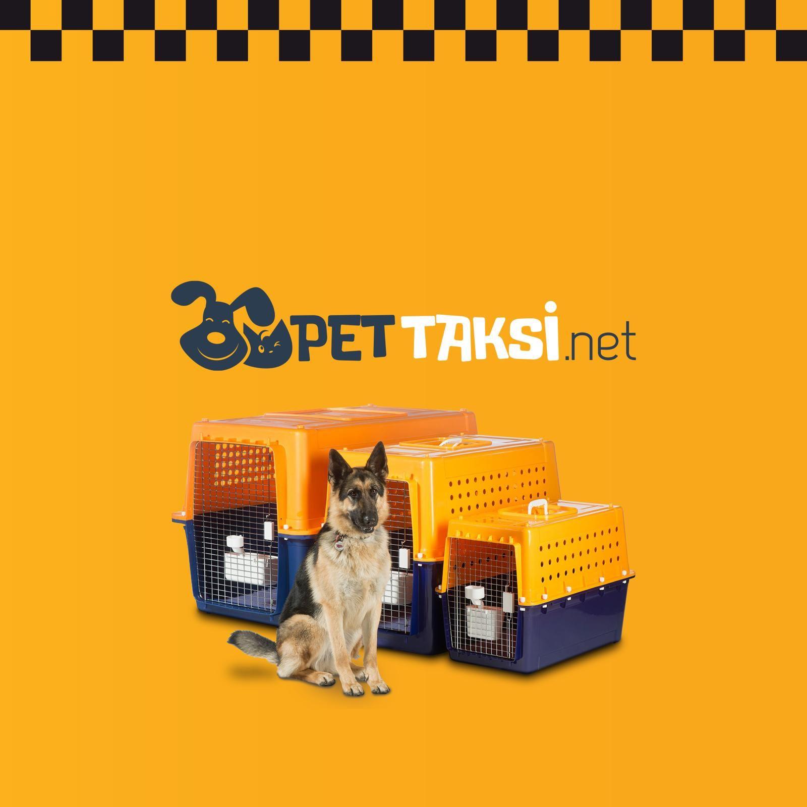İstanbul ve Türkiye Geneli Pet Taksi